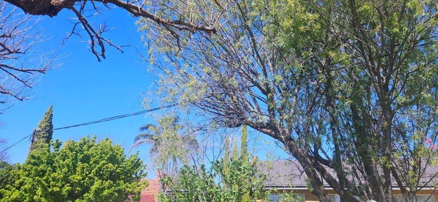 3 Bedroom Property for Sale in Fichardt Park Free State